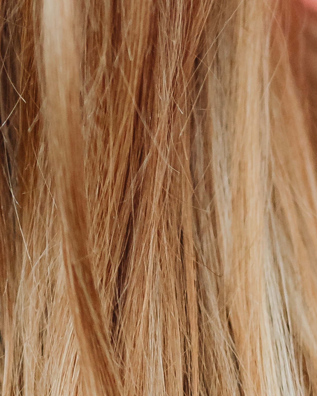 Lux Arsenal Genius Weft Hair Extensions